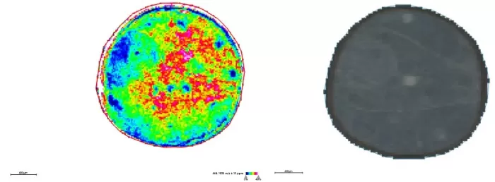 Spatial distribution and segmentation maps at 20μm